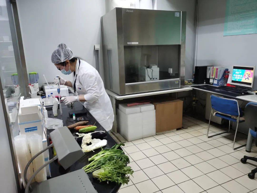 中卫食品检测实验室装修方案